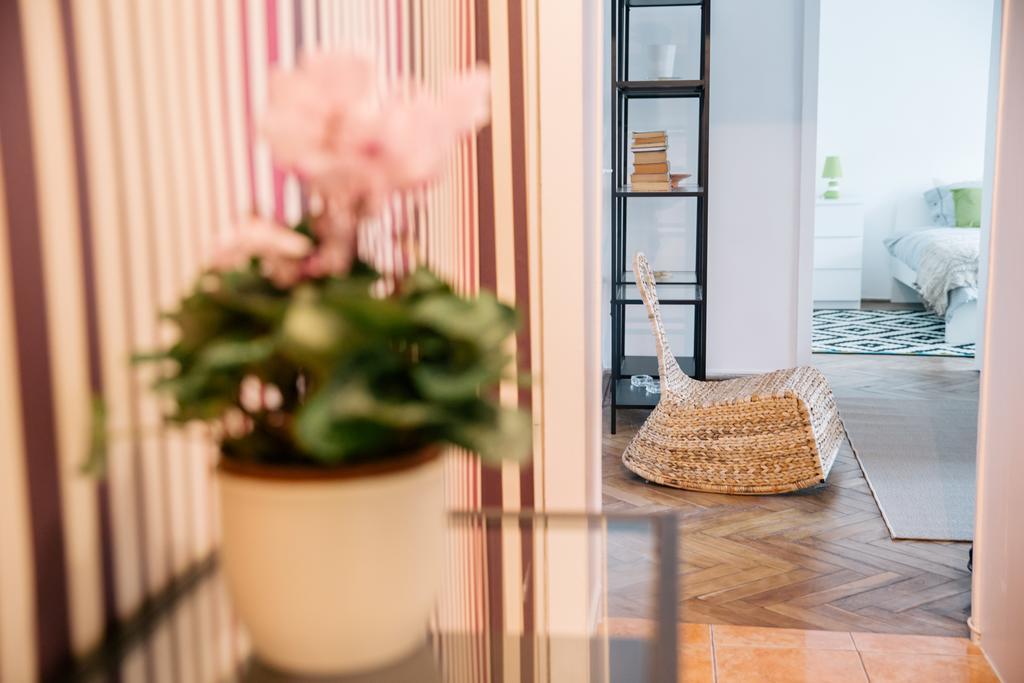 Neo Apartment Horea Cluj-Napoca Esterno foto