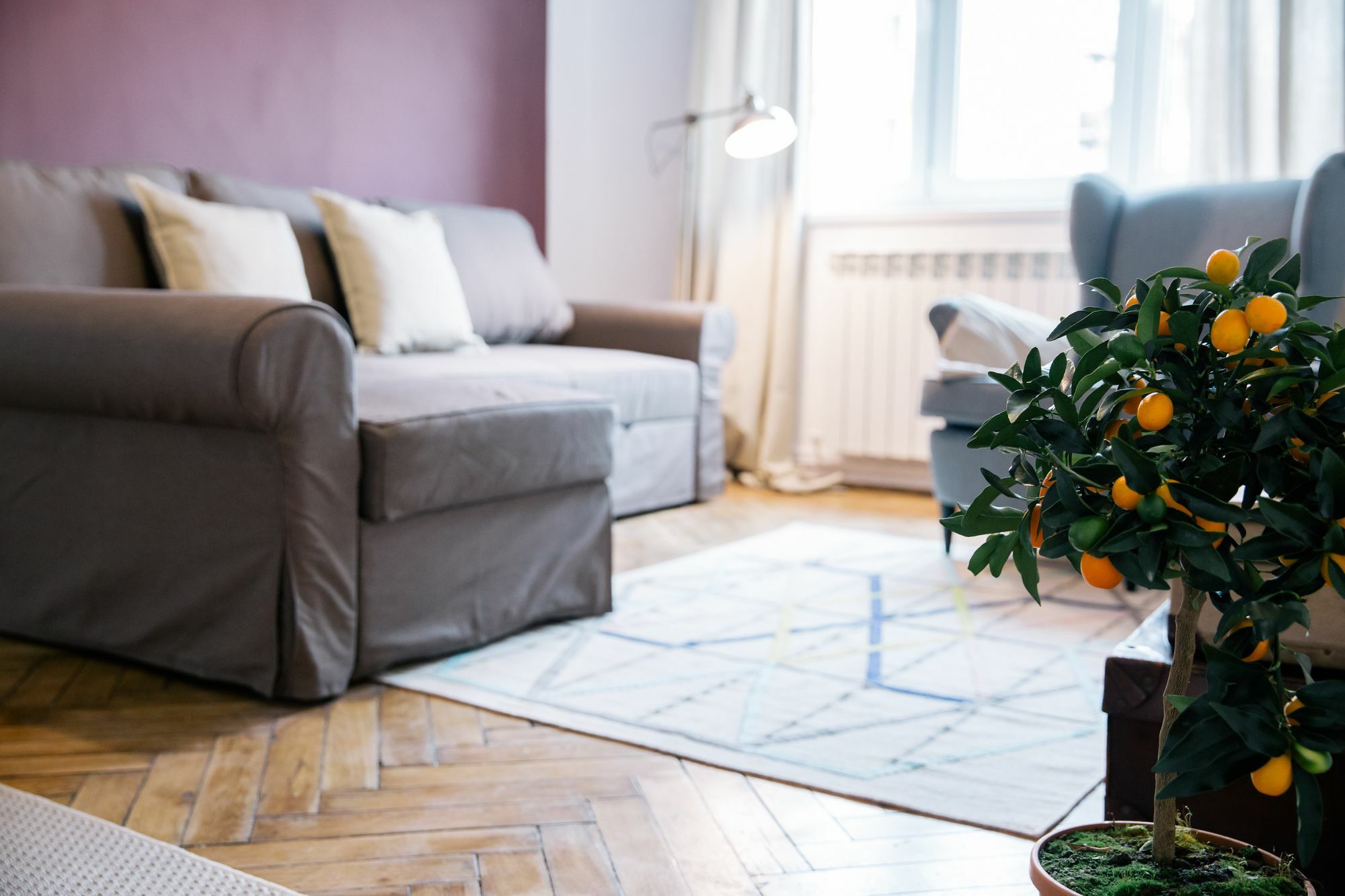 Neo Apartment Horea Cluj-Napoca Esterno foto